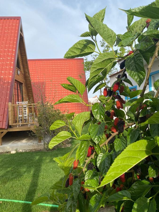 Noel Bungalov & Cafe Demre Eksteriør bilde